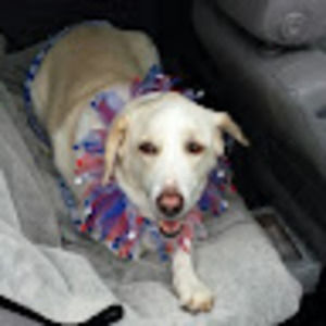 Meet your Posher, Kris